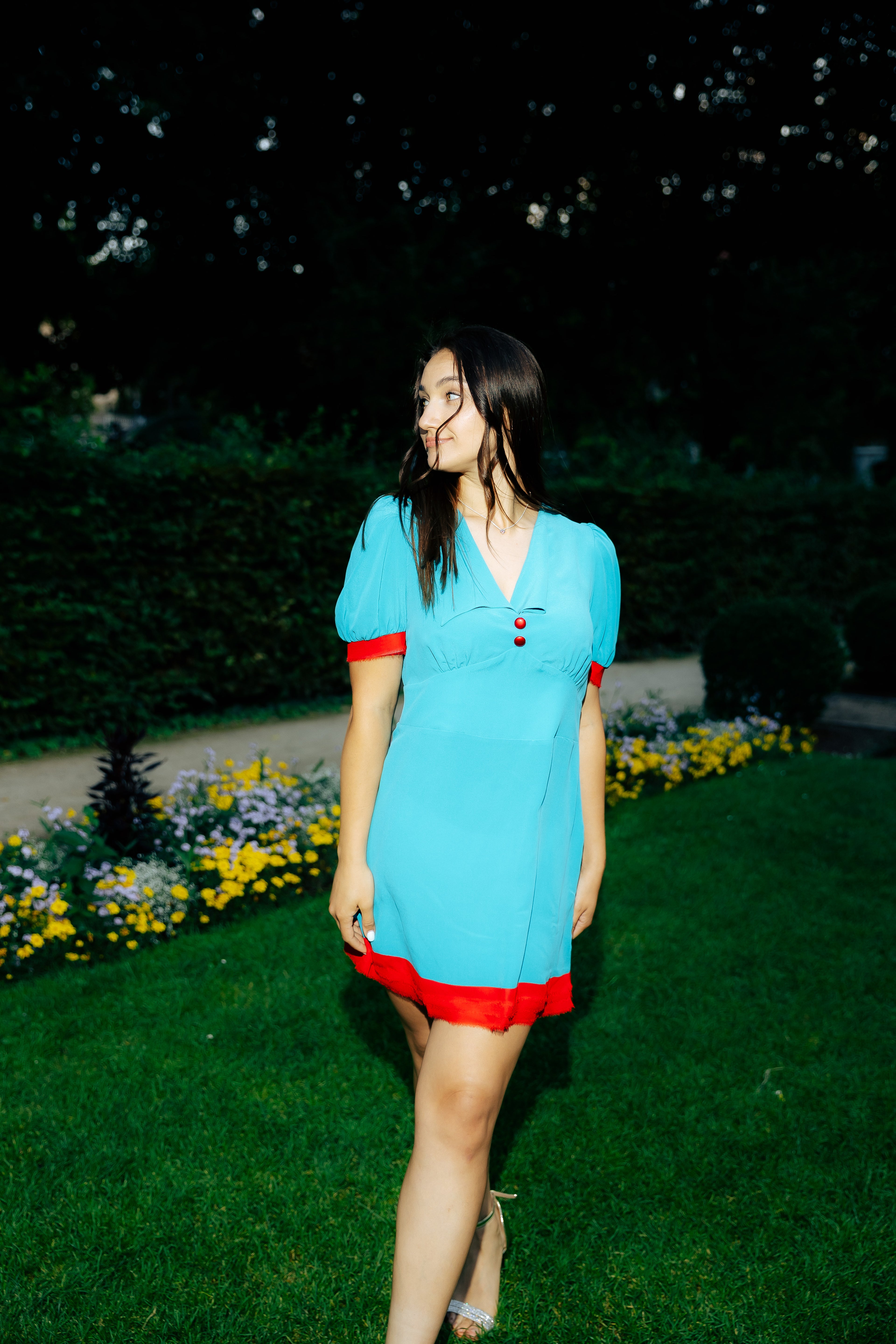 Silk Dress