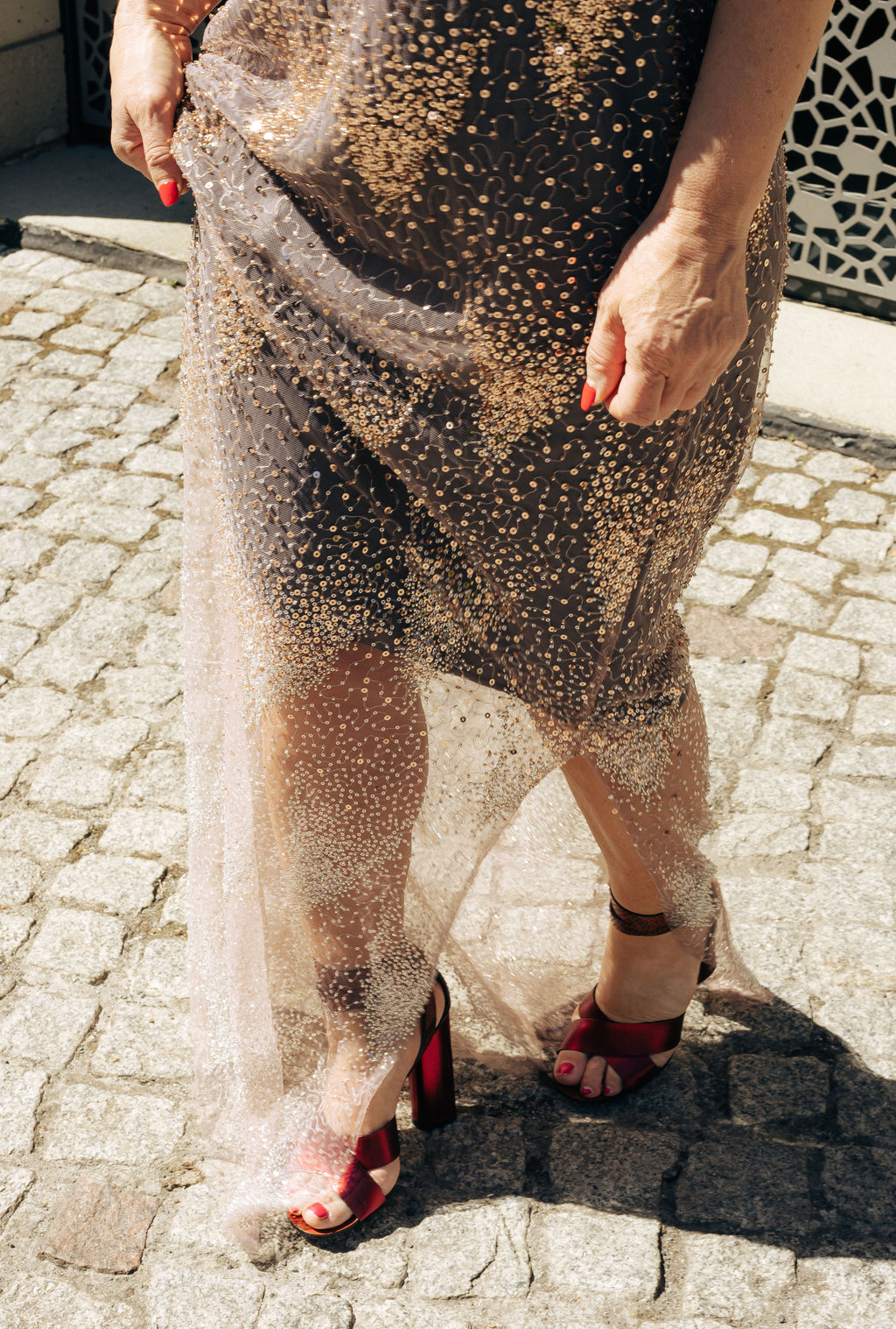 MAZI Silver Butterfly Sheer Maxi Dress