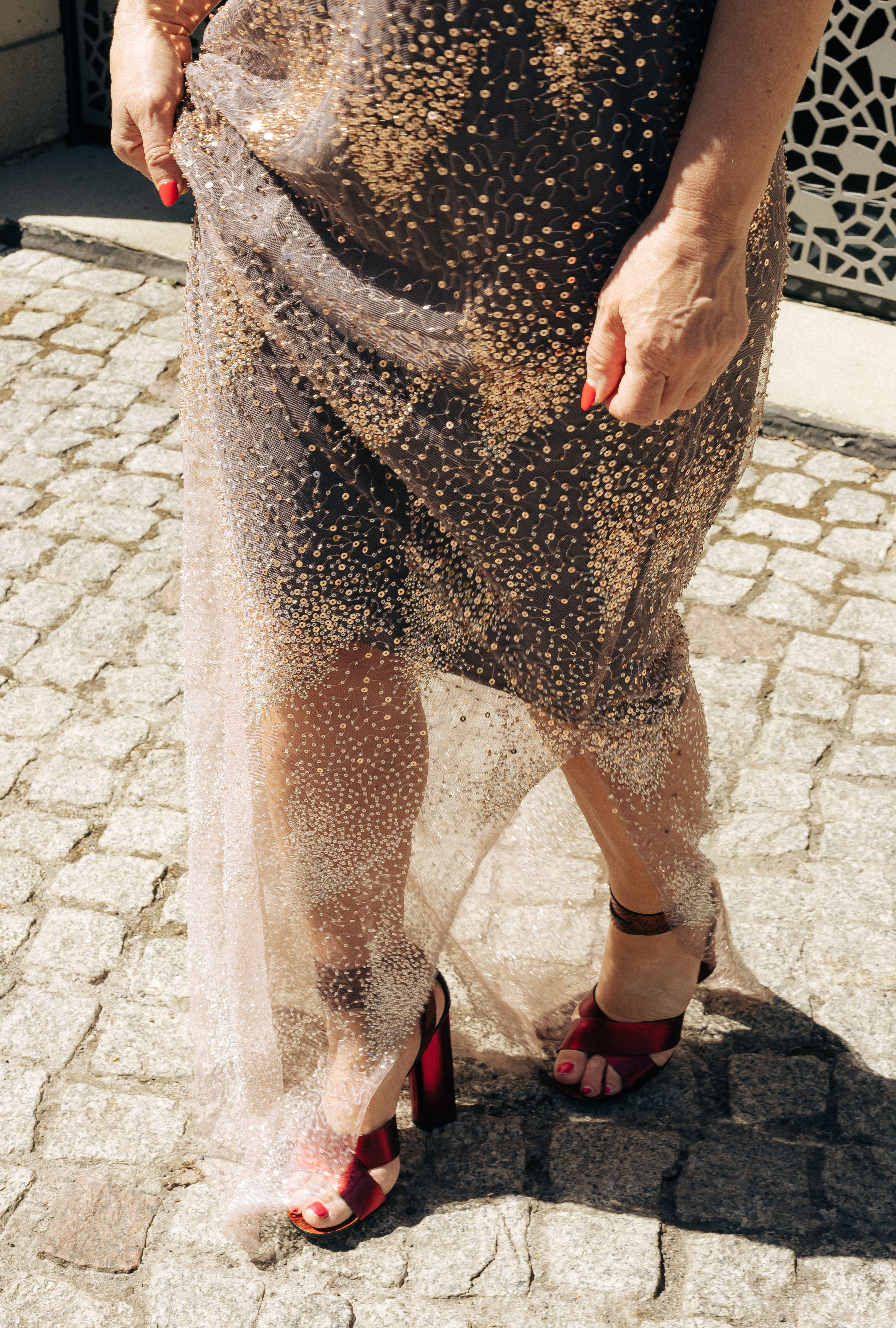 MAZI Silver Butterfly Sheer Maxi Dress