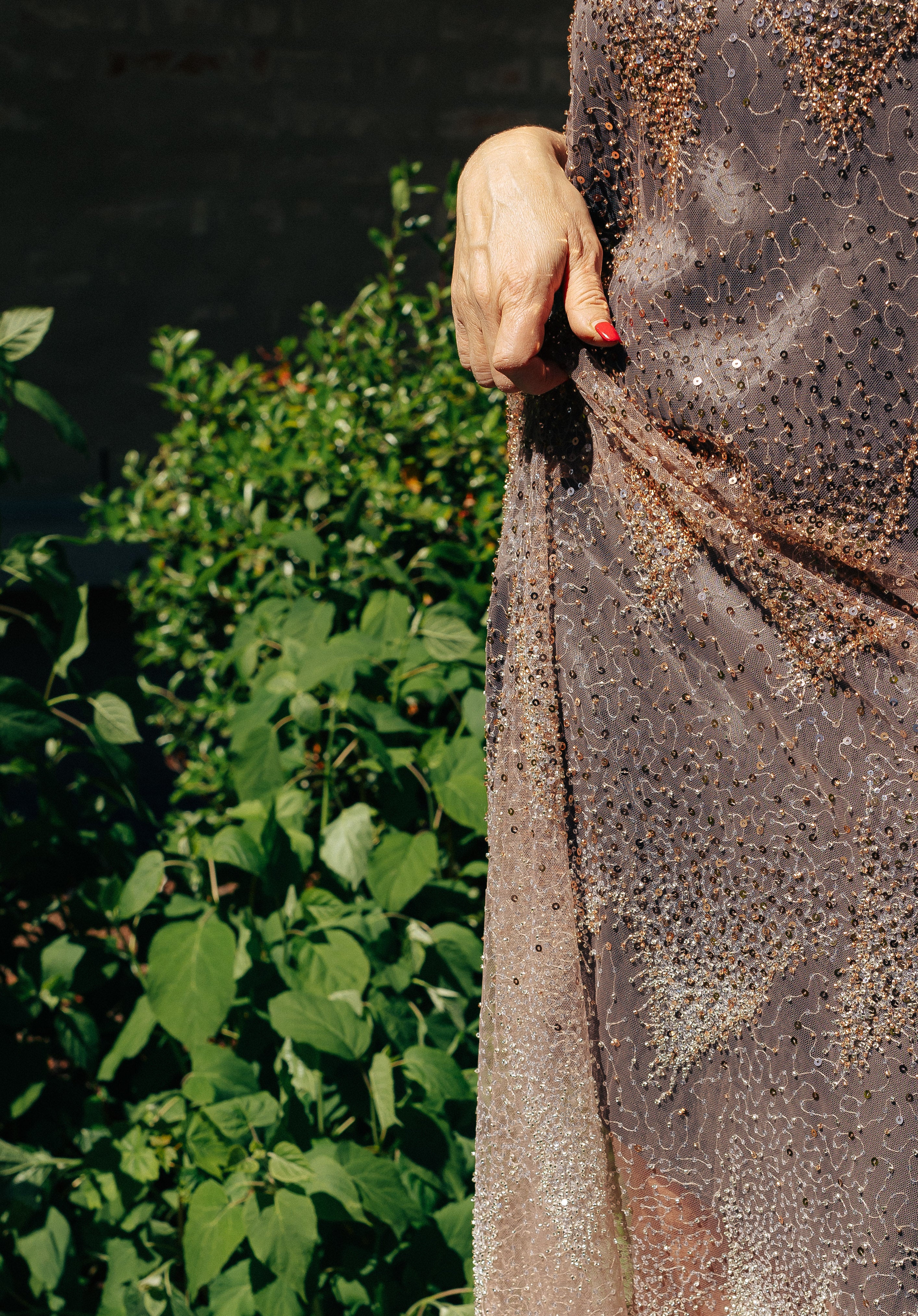 MAZI Silver Butterfly Sheer Maxi Dress